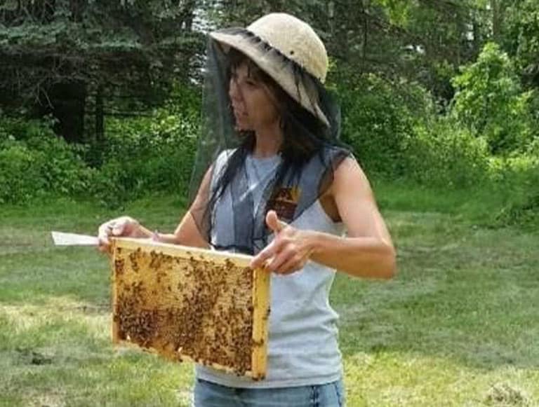 Beekeeper holding an acid board with bees on it