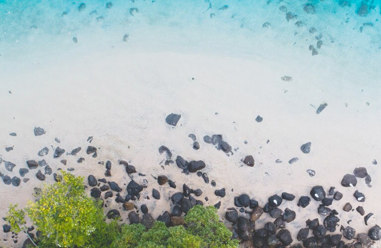 Clean water: clear mission