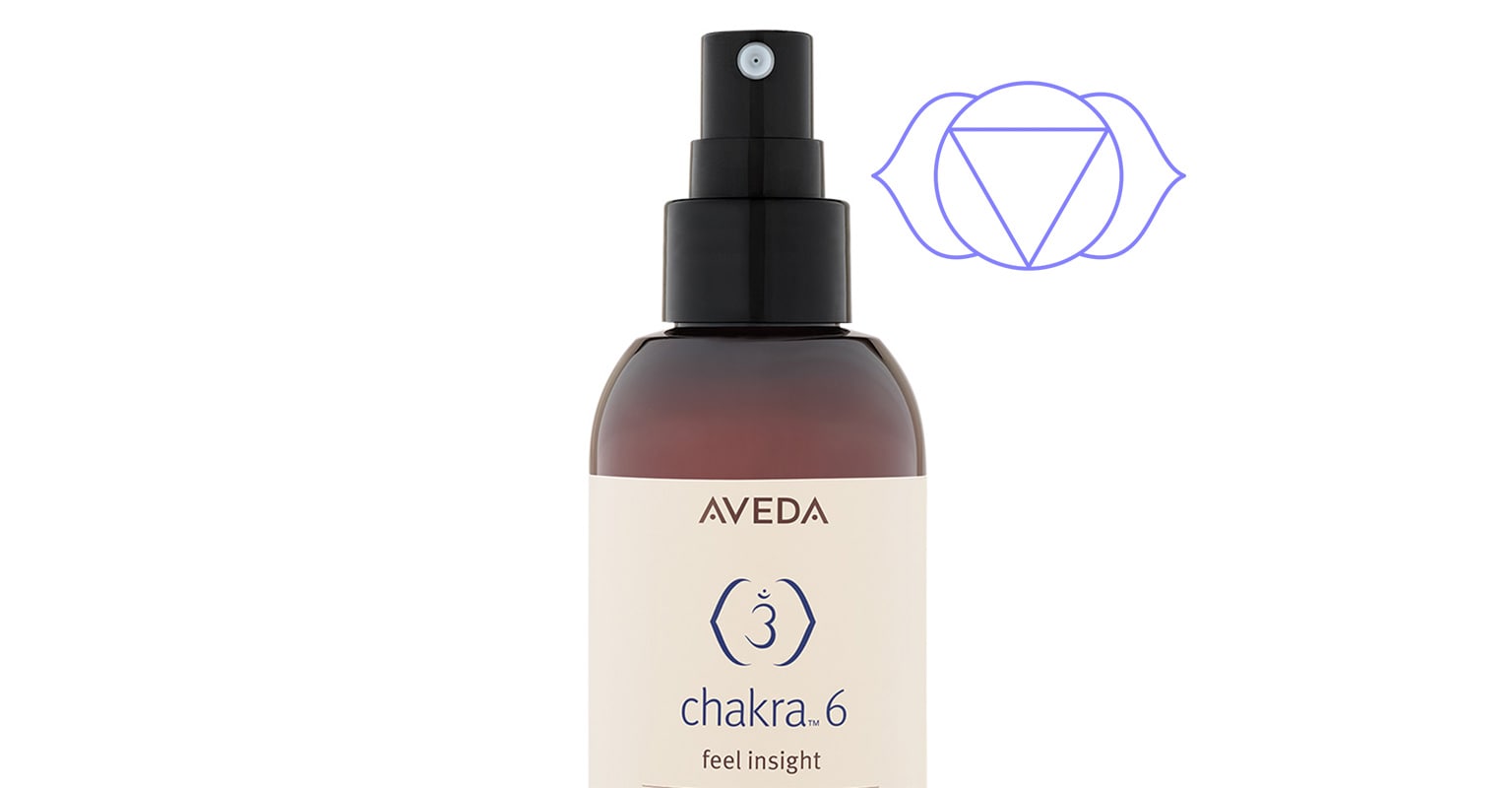 Learn more about Chakra 6 - the feel insight chakra