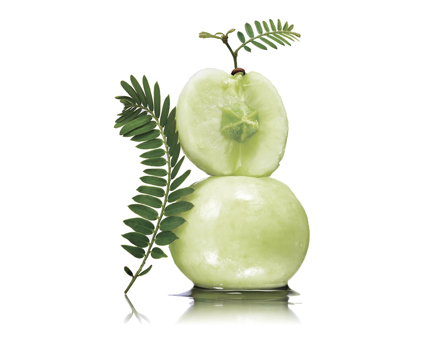 Learn more about amla fruit extract