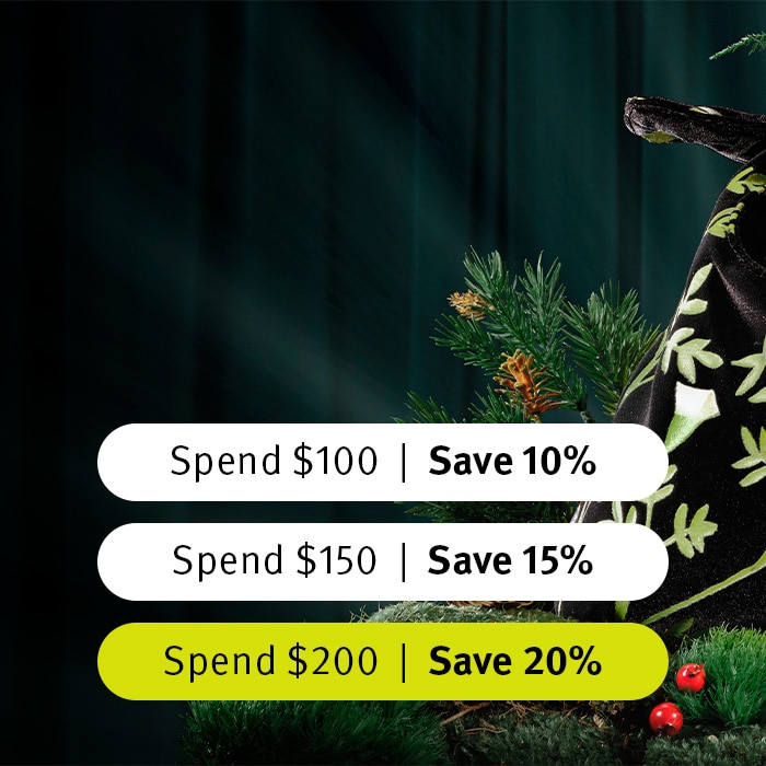 Spend and Save