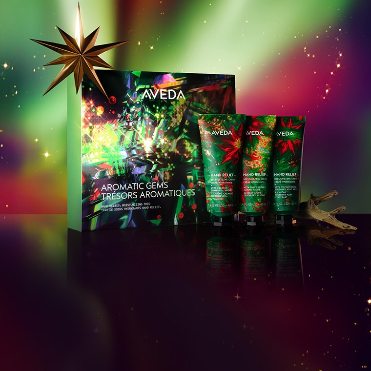 Shop Aveda gifts under $80