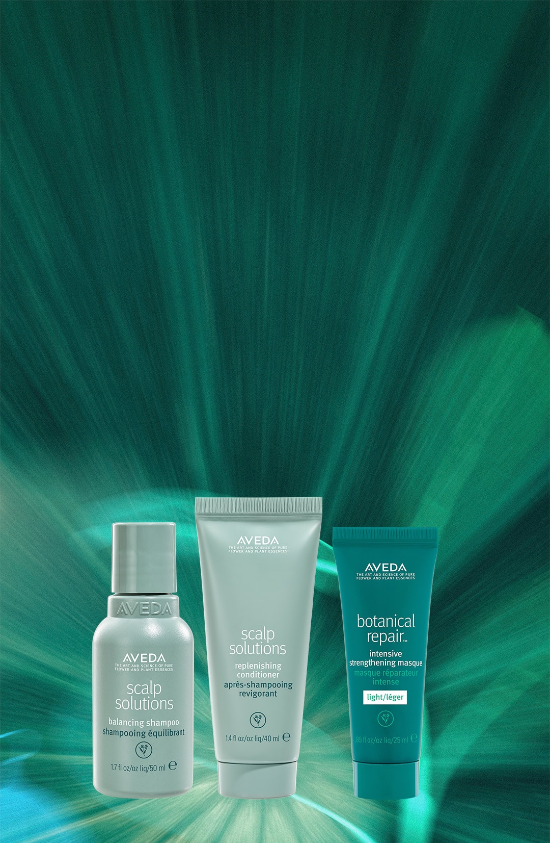 20 Percent Off Our Most Loved