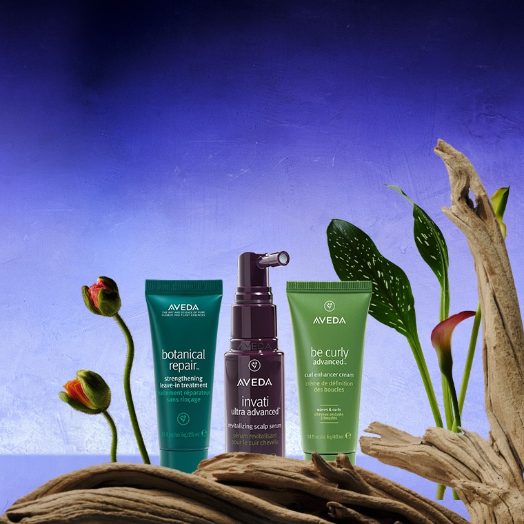 Cyber Offer - Free Travel Trio For You​