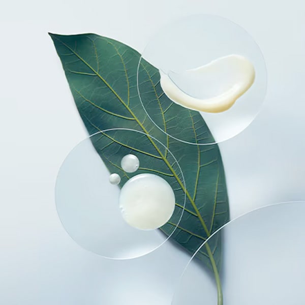 4 reasons to invest in vegan hair repair