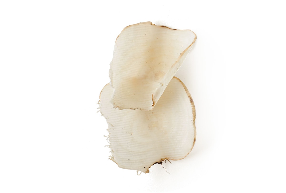 sugar beets