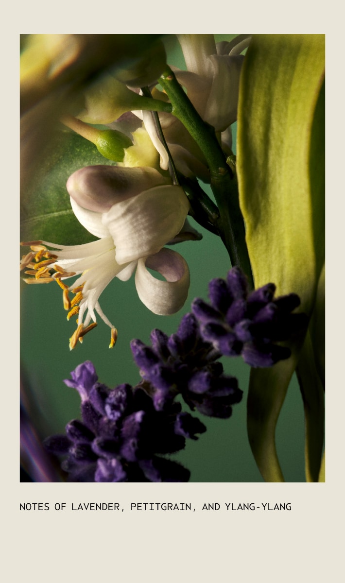 Abundant Blowout All-Over Volumizing Spray