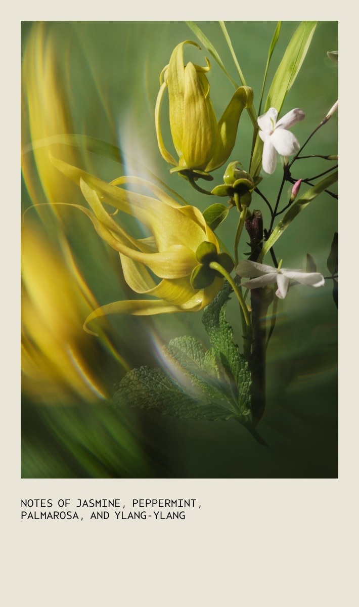 Pure Abundance™ Volumizing Style-Prep