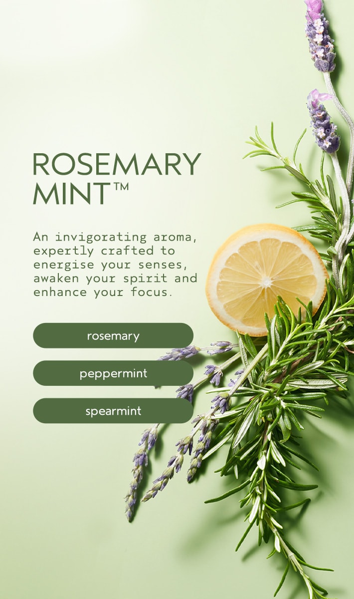 rosemary mint body lotion