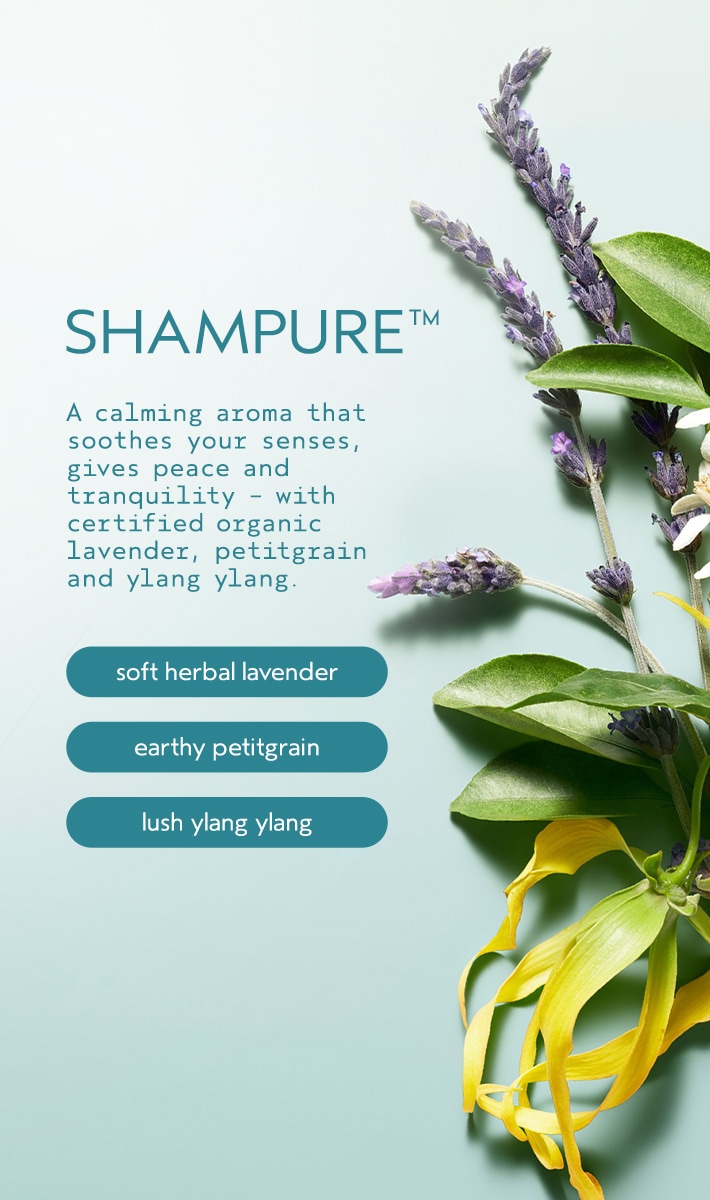 shampure<span class="trade">™</span> body lotion